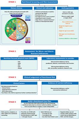 Protecting optimal childhood growth: systematic nutritional screening, assessment, and intervention for children at risk of malnutrition in the Kingdom of Saudi Arabia